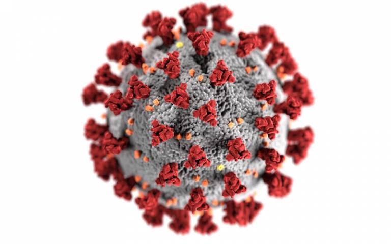Illustration of SARS-CoV-2 virus