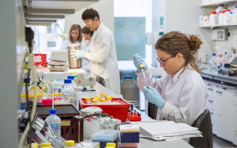 Image of researchers working in laboratory