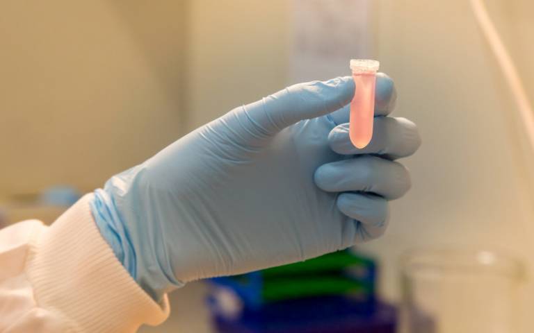 Image shows gloved hand holding up PCR tube containing sample