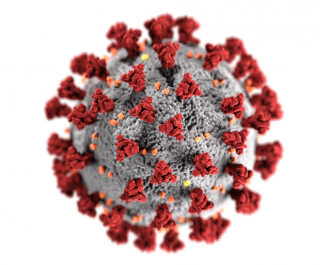 a covid virus particle in grey and red