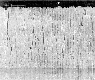 Column-like structure of ESAVD processed TBC coating.jpg