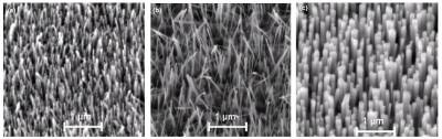 Homeoepitaxial growth of ZnO nanowires on ZnO thin films.jpg