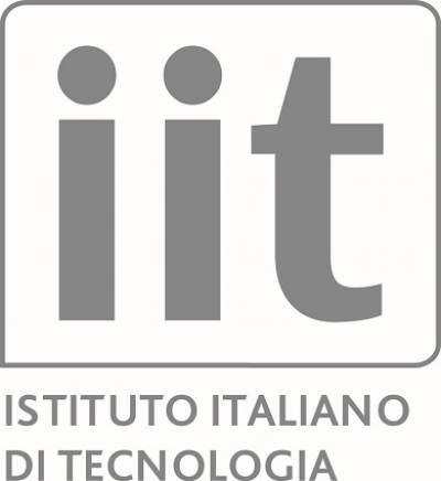 Italian Technology Institute Logo