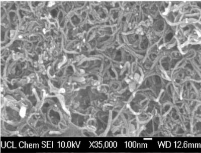 SEM image of MWCNT based nanocomposite coating.jpg