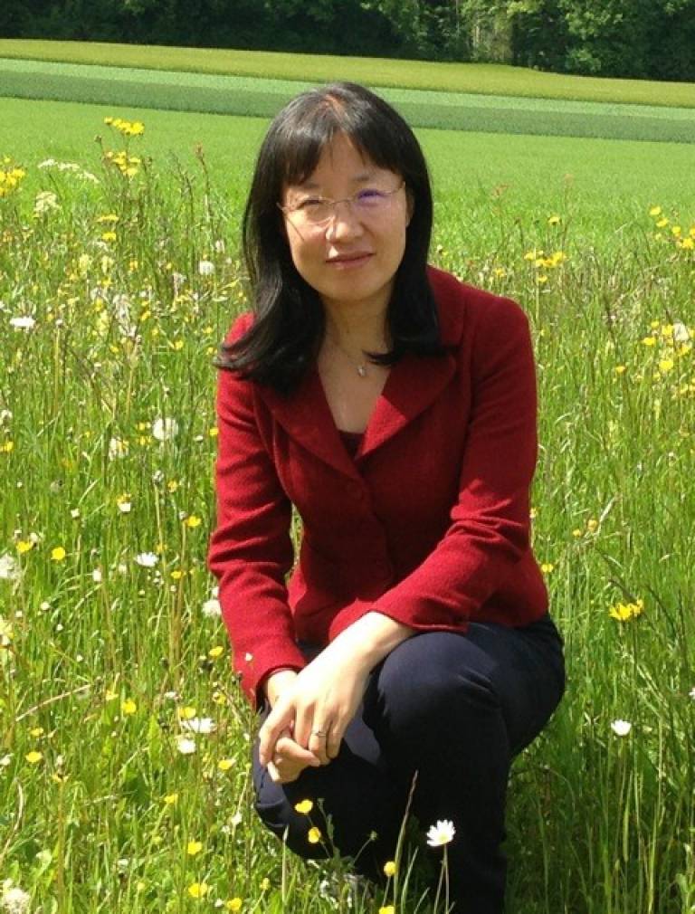 Dr Xiurong Zhao