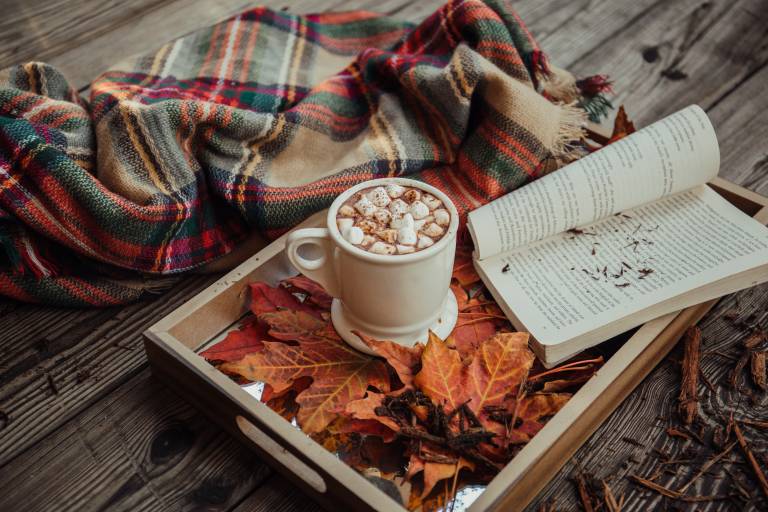 A tray with autumnly leaves, an open book is placed on it and a mug with a creamy hot drink. Next to the tray is a blanket. 