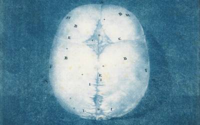 image of brain with letters marked on, language and meaning