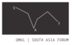 QMUL South Asia logo