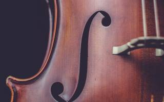 close up of the bridge of a cello