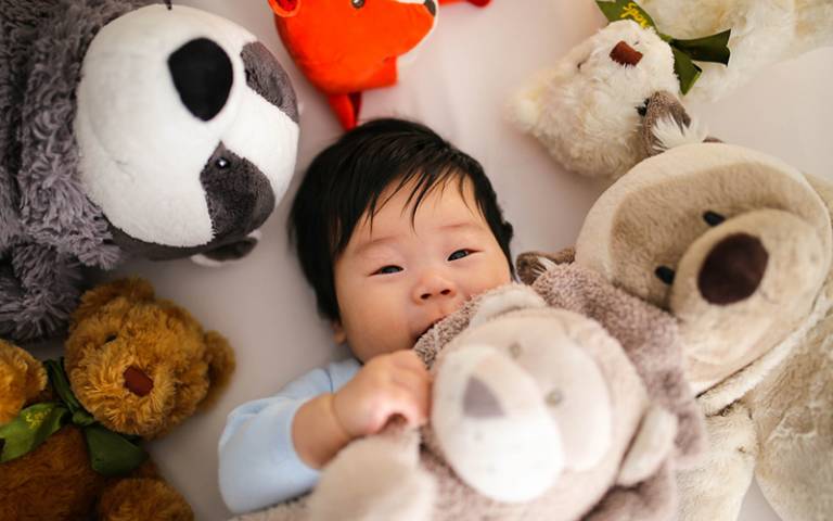 Toddler with soft toys