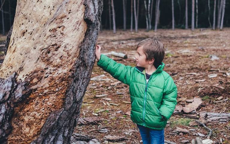 Boy and tree trunk