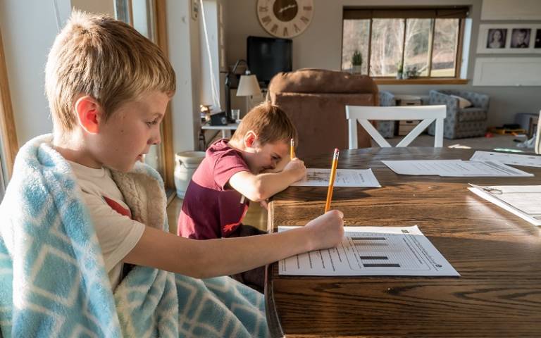 Brothers doing schoolwork at home