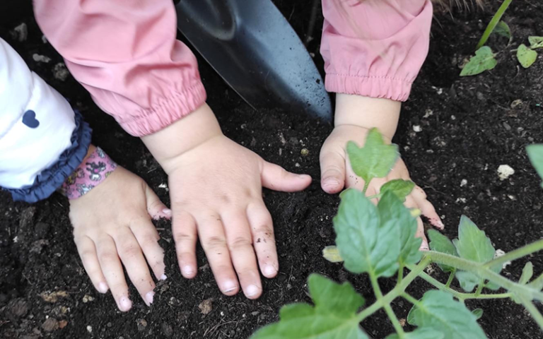 Children's hands exploring soil. Image credit: Jane Whittle.