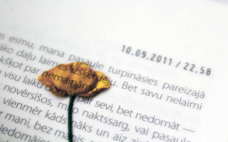 Yellow pressed flower in Latvian book page