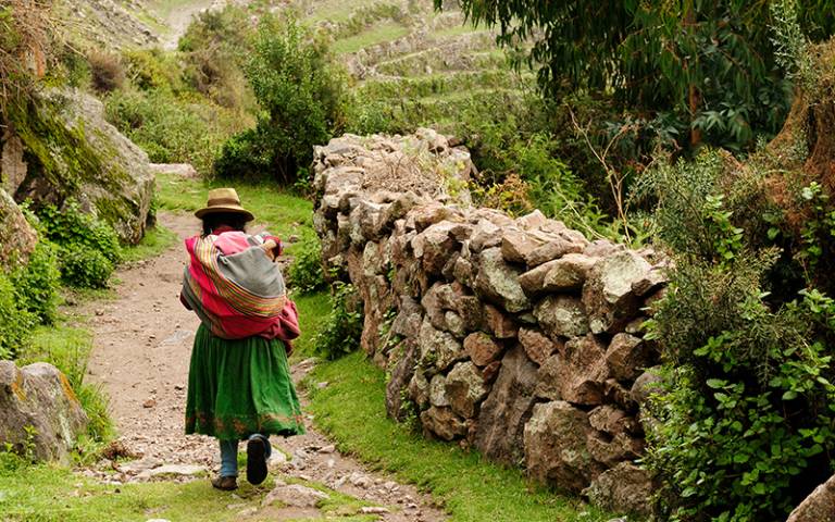 Peru, old Incan road in the canyon Cotahuasi. Photo by Rafal Cichawa / Adobe Stock