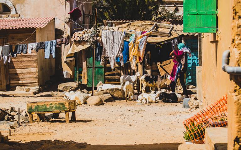 A person putting up clothes to dry in a poor african village with goats surrounding the cottage. Photo by Anze / Adobe Stock.