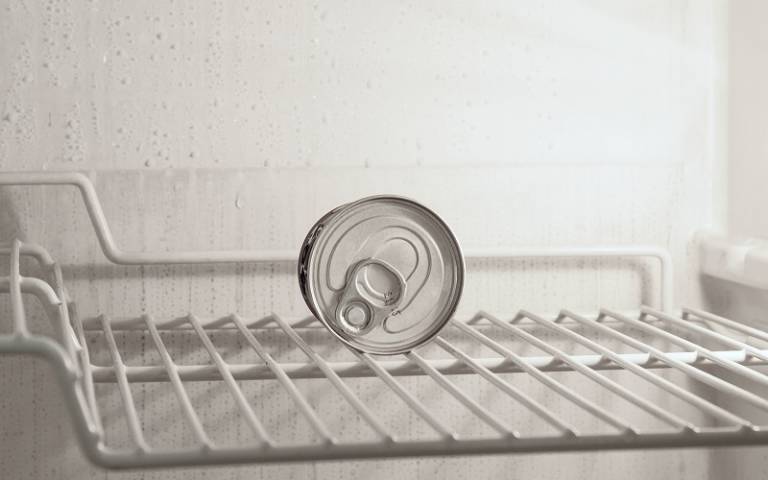 One tine can placed on the shelf of a nearly empty fridge