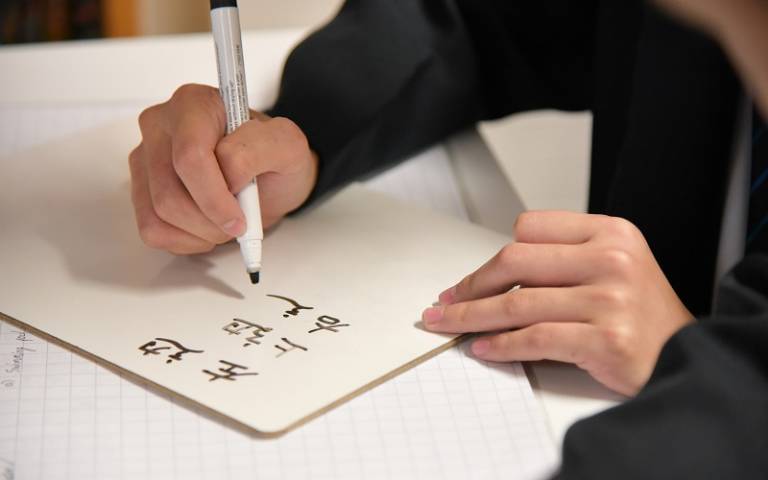 Pupil writing Mandarin characters. Image: Phil Meech Photography