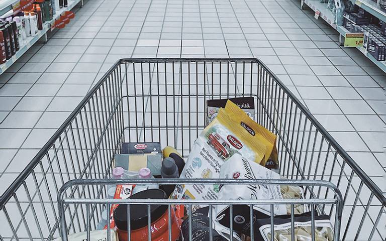Shopping cart in supermarket (Photo: Oleg Magni on Pixabay)