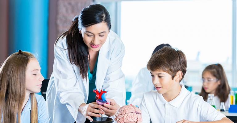 A woman in a laboratory coat handling a model of the heart and brain as two students look on. (Photo: Getty Images / iStock)