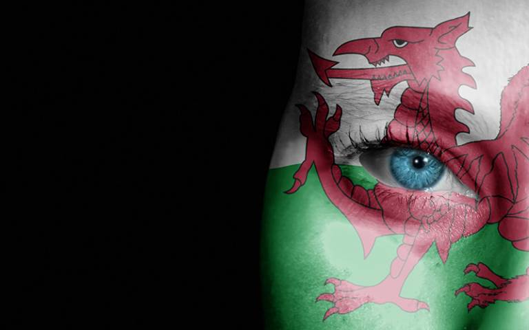 A person with the flag of Wales super-imposed to look like face paint (Photo: Antony McAulay / Adobe Stock)