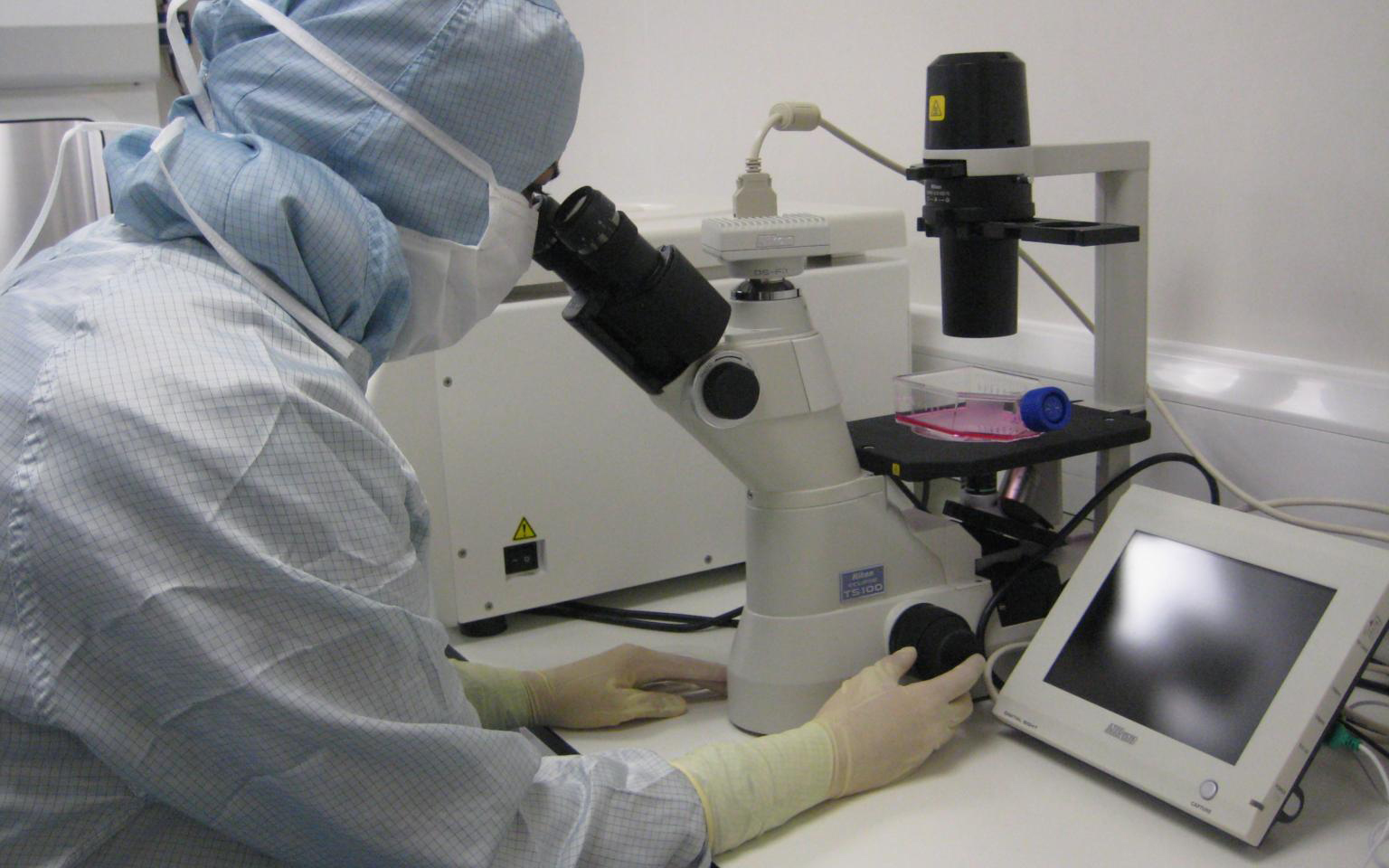 Researcher in lab 