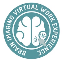 brain imaging logo