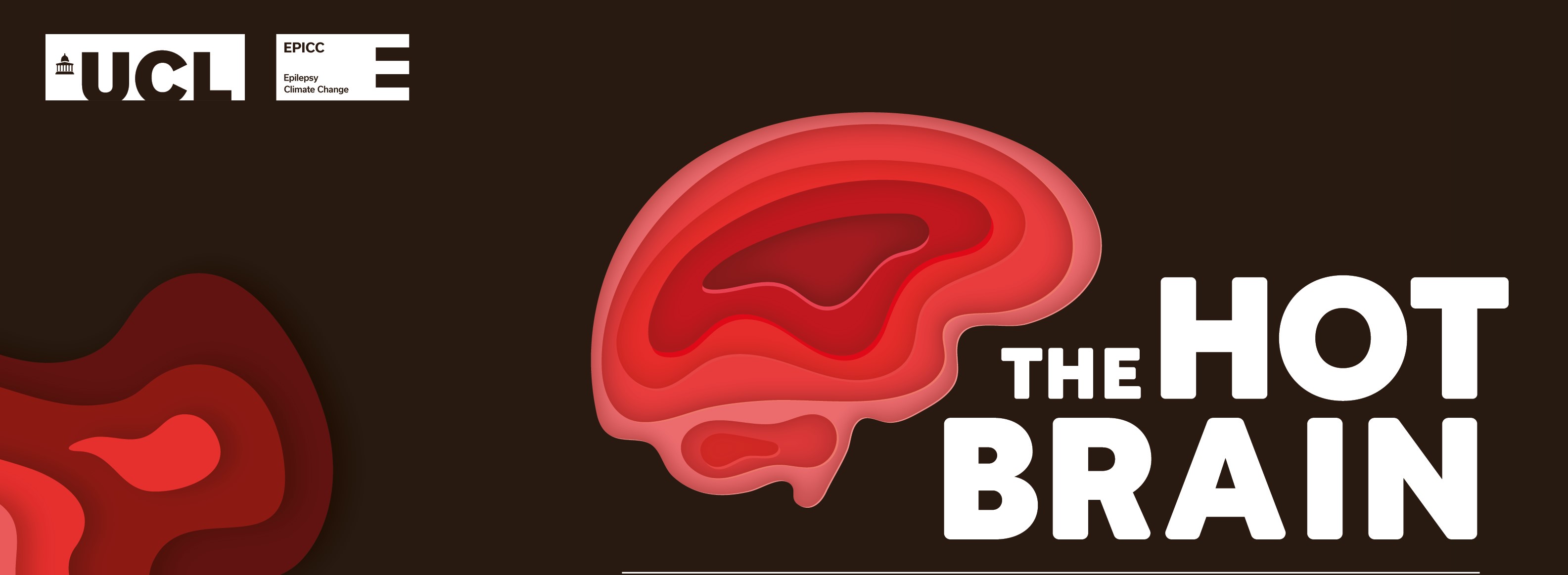hot brain website banner