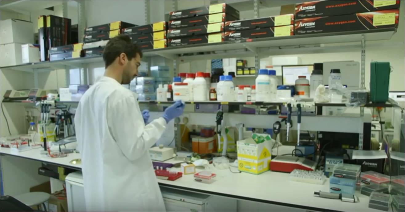 researcher doing an experiment in the lab