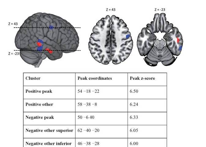 Cognitive neurology