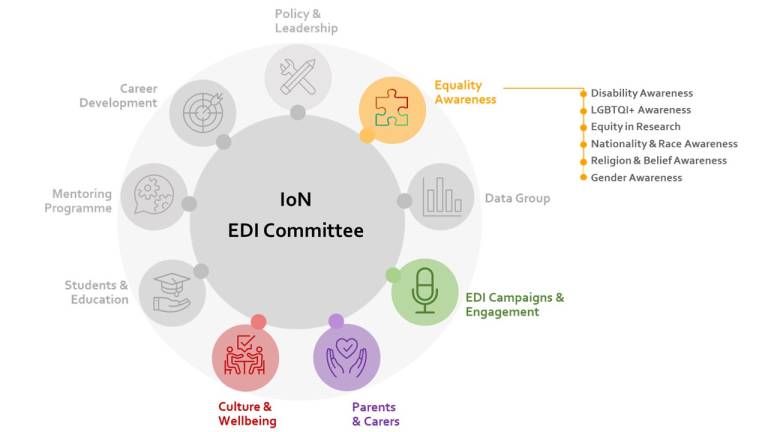 A diagram with the Action Groups that belong to the EDI Committee