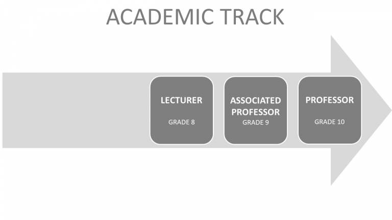 academic career track ucl
