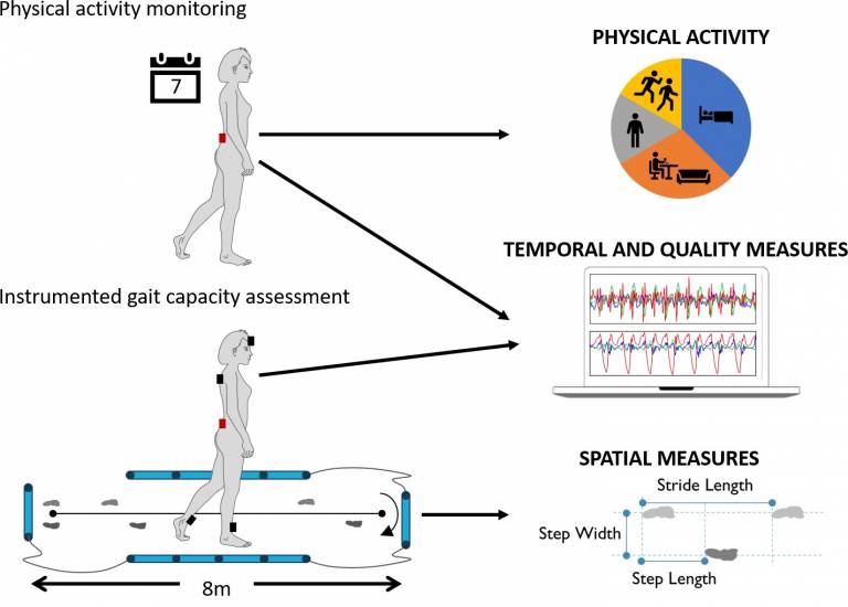 sensor based motion detection in UDCA clinical trial for Parkinson's