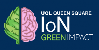 IoN green logo
