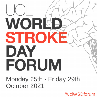 UCL world stroke day forum
