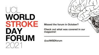 world stroke day forum 
