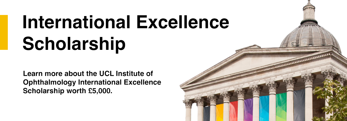 UCL Institute of Ophthalmology International Excellence Scholarship