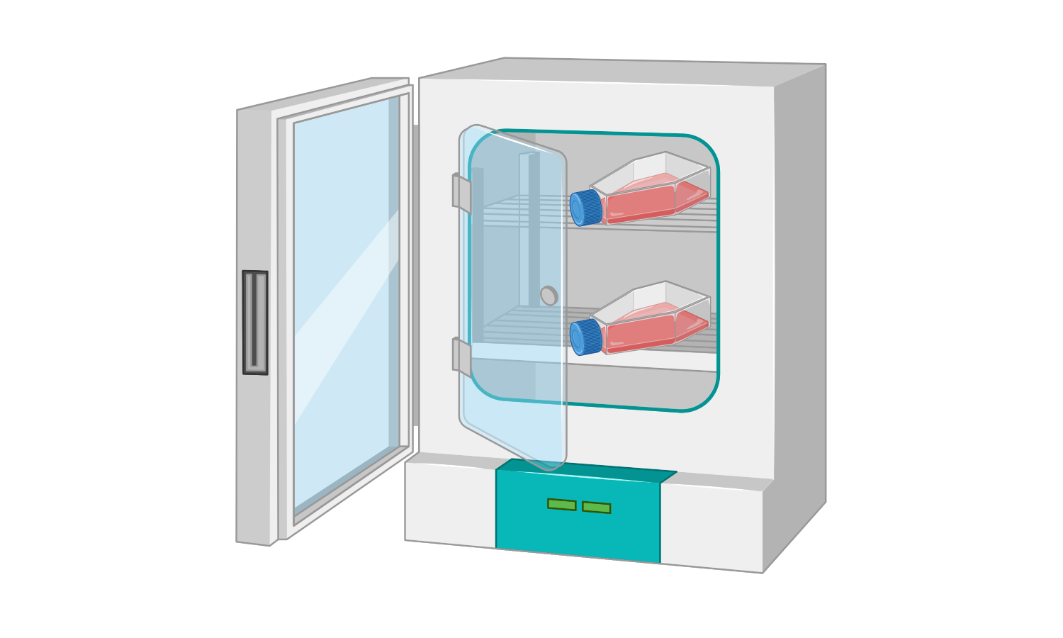 Open cell culture incubator with flasks on the shelves.