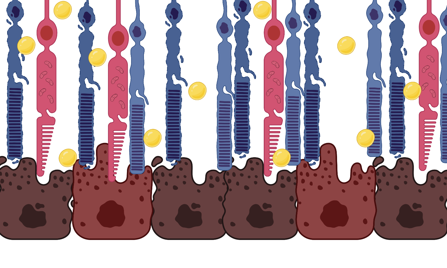 Schematic of a degrading retina.