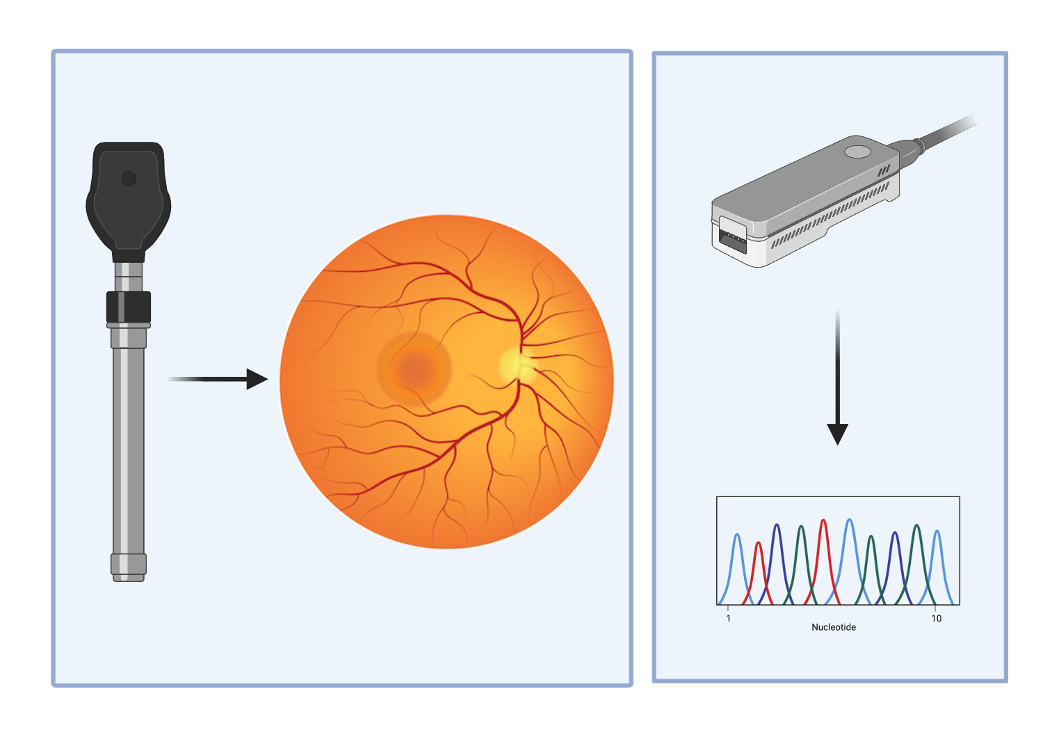 Left: Ophthalmoscope producing a fundus image. Right: Sequencer producing a sequencing trace.