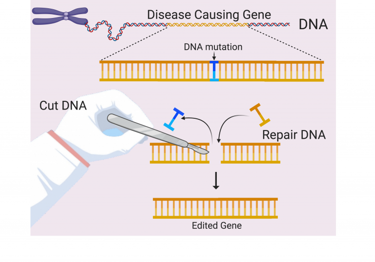 Image showing DNA being cut with a scalpel to represent DNA editing techniques