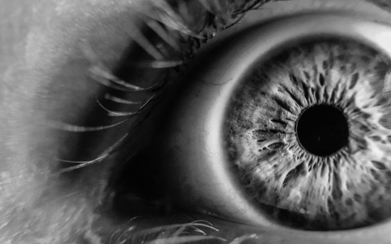 Close-up of human eye in black and white