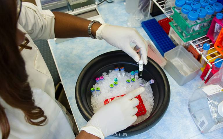 Lab vials in an ice bucket