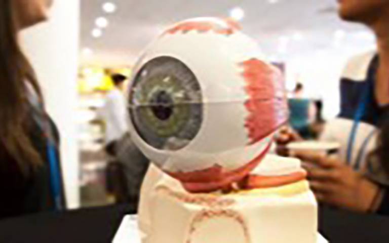 Image of large robot eye