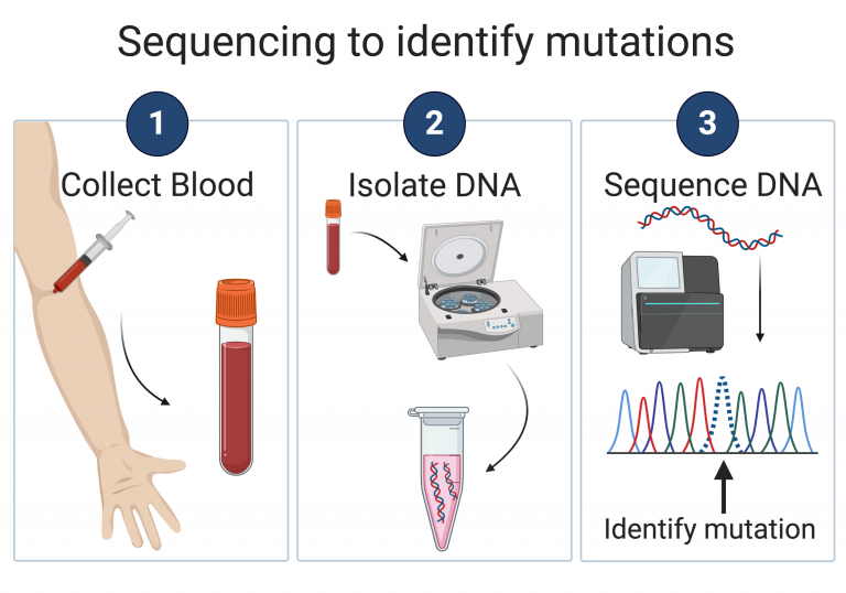Schematic demonstrating the process of taking a patient's blood, isolating DNA from the blood and then sequencing this DNA to produce a peak read-out of the mutation.