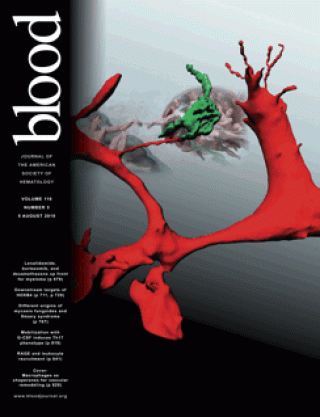 cover blood 2010