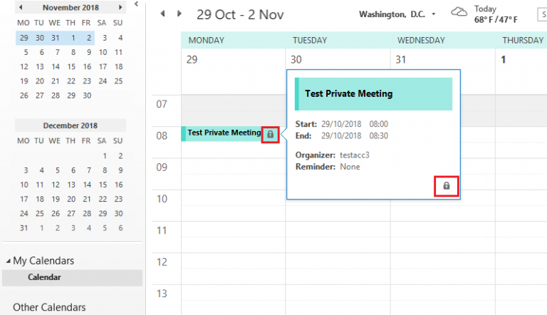 Fig 2. Private Meeting or Appointment created