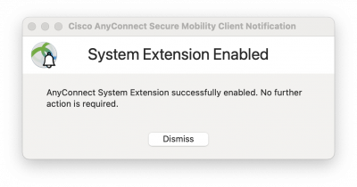 AnyConnect System Extension successfully enabled window