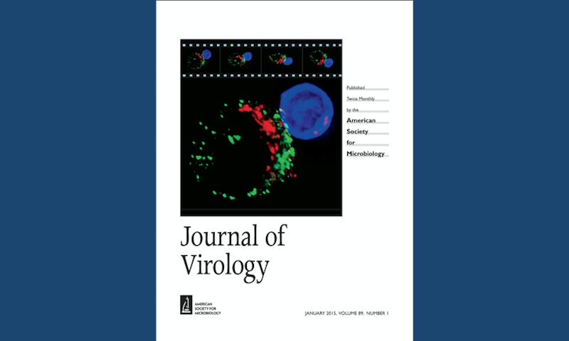 Dr Clare Jolly's image graces the cover of the Journal of Virology, Jan 2015