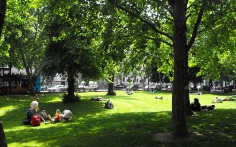 People sitting in a grassy area with trees in Somers Town, London